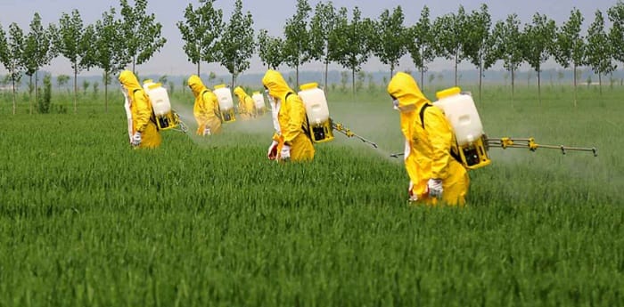 Cách chọn đồ bảo hộ phun thuốc trừ sâu phù hợp
