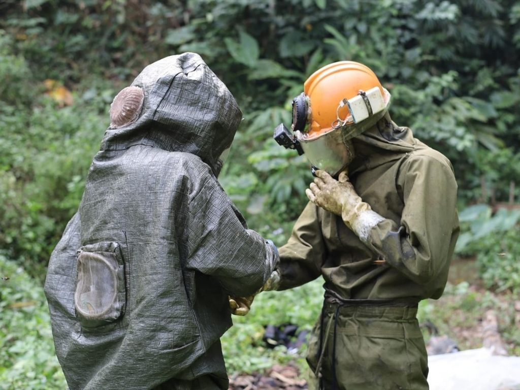 Bạn cần kiểm tra kỹ lưỡng đồ bảo hộ bắt ong rừng