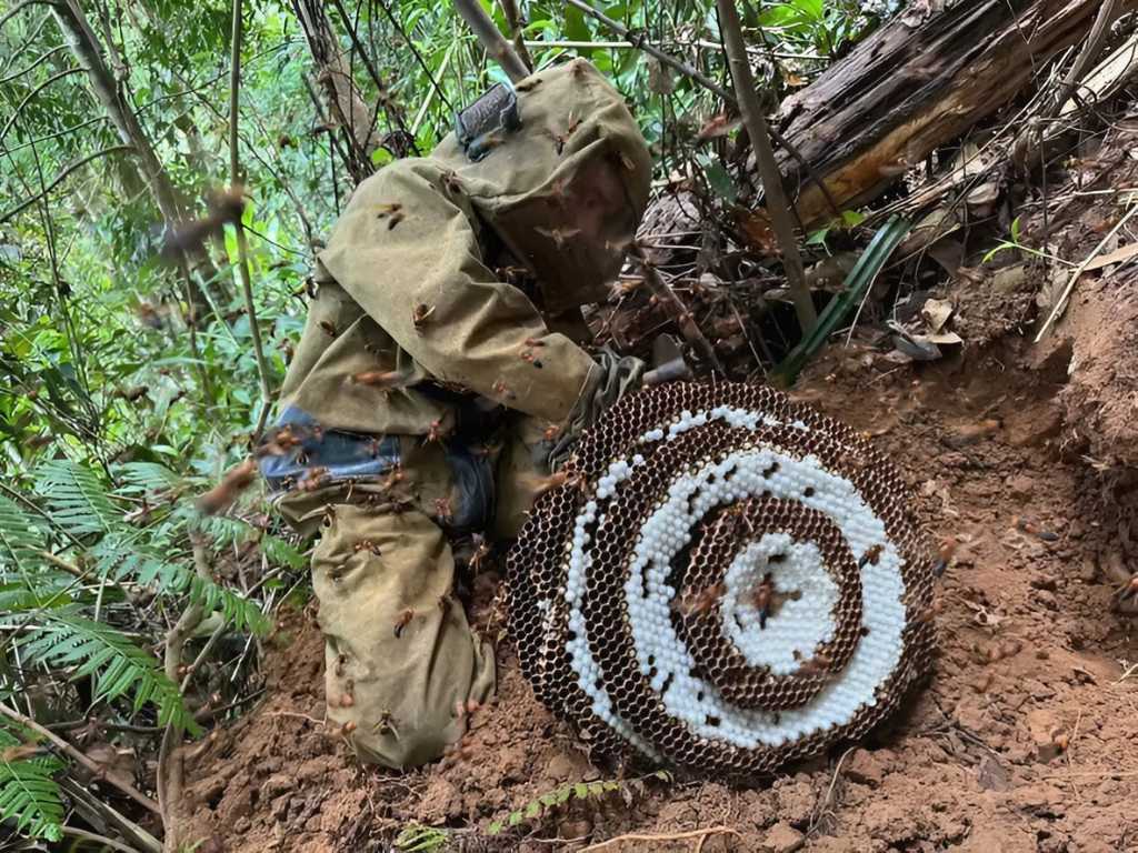 Quần áo bảo hộ bắt ong rừng cần phải có chất liệu dày dặn để chống ong đốt tốt