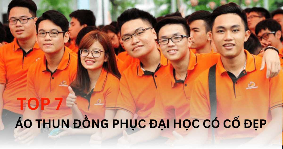 Top 7 Áo Thun Đồng Phục Có Cổ Các Trường Đại Học Đẹp Năm 2024