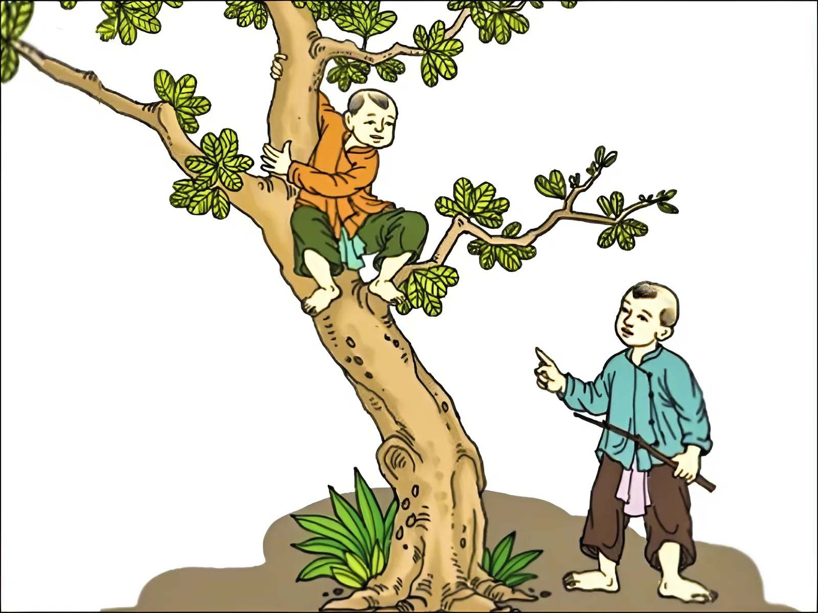 Khảo cây giờ Ngọ là tục lệ độc đáo vào ngày Tết Đoan Ngọ