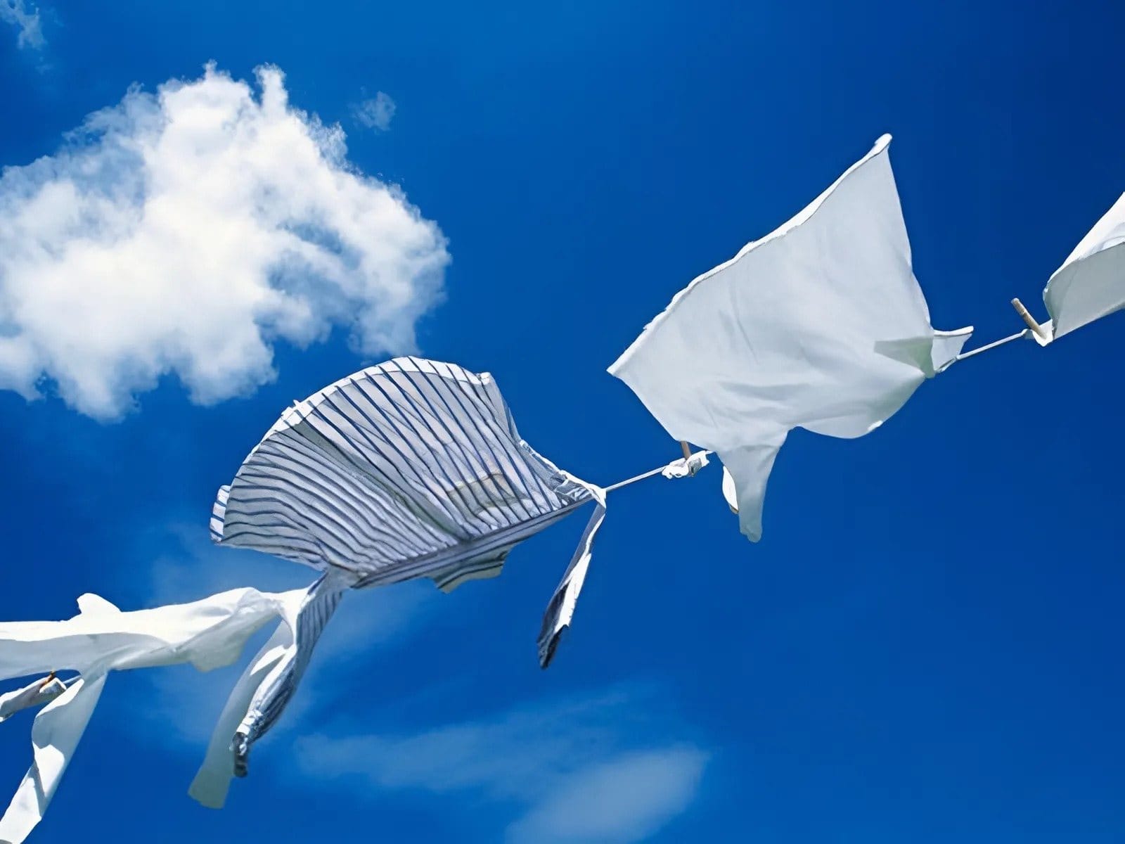 Phơi ở nhiệt độ vừa phải để giữ logo bám lâu trên áo