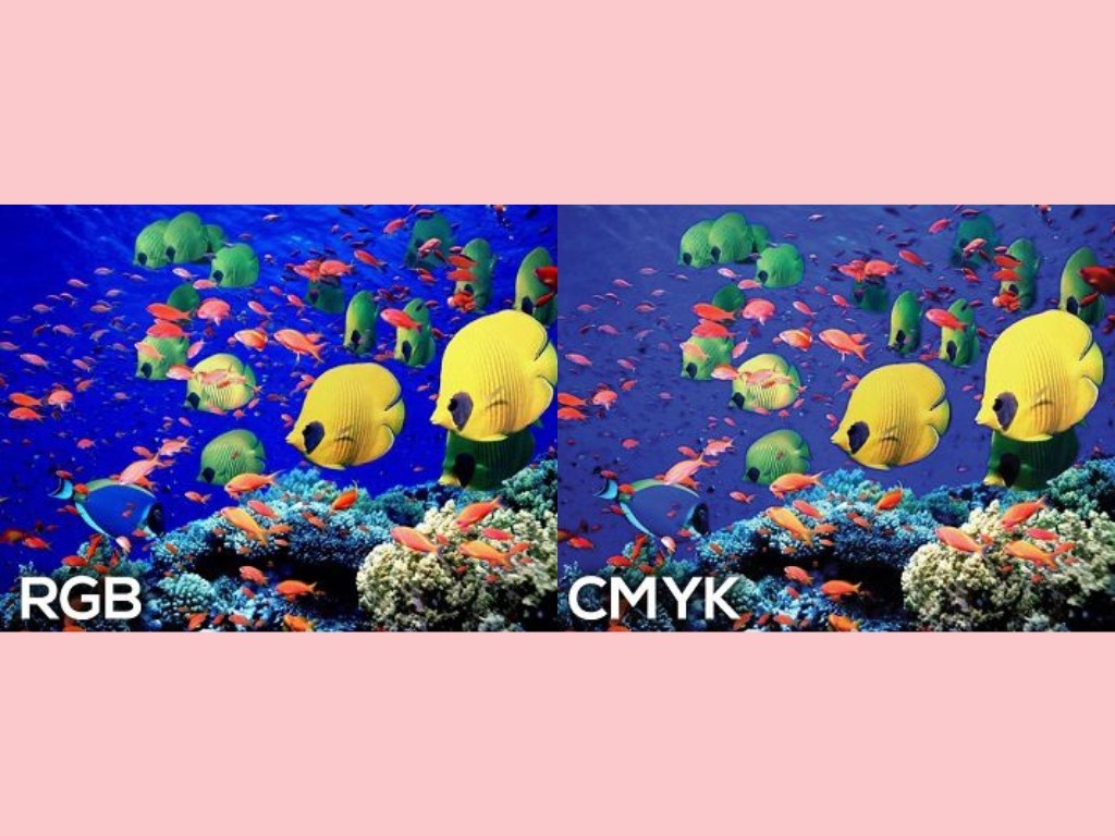 Bạn cần kiểm tra hệ màu phù hợp với kỹ thuật in logo lên áo thun hcm
