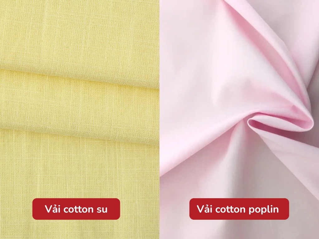 Cotton Poplin và cotton su hoàn toàn khác biệt về cấu trúc và ứng dụng