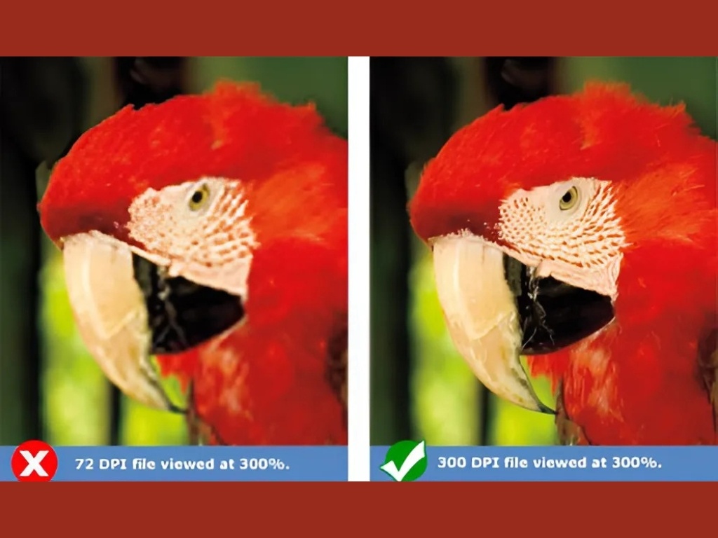 Bạn nên đưa file thiết kế có độ phân giải 300 DPI cho xưởng in vải chuyển nhiệt