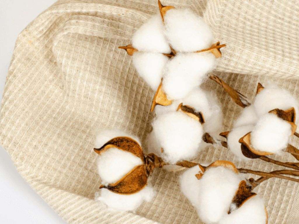 Bạn nên ưu tiên chọn loại vải thoán mát như cotton 100%