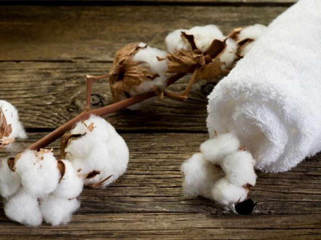 Bạn nên ưu tiên chọn vải cotton 100% để thoán mát hơn
