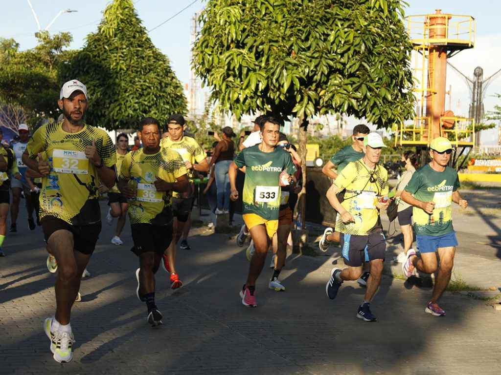 Áo thun ngắn tay phù hợp cho những ngày thời tiết mát mẻ