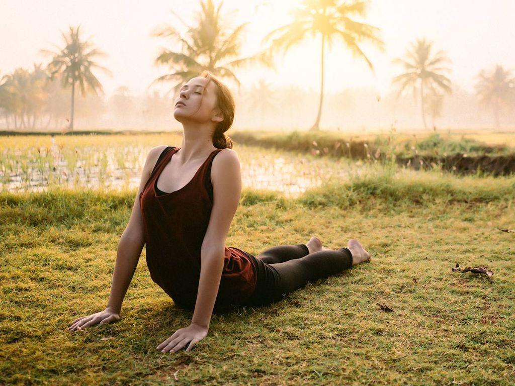 Các nhà thiết kế khi tạo ra một vẻ ngoài thanh lịch