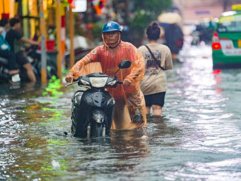Bạn cần chọn những đơn vị uy tín