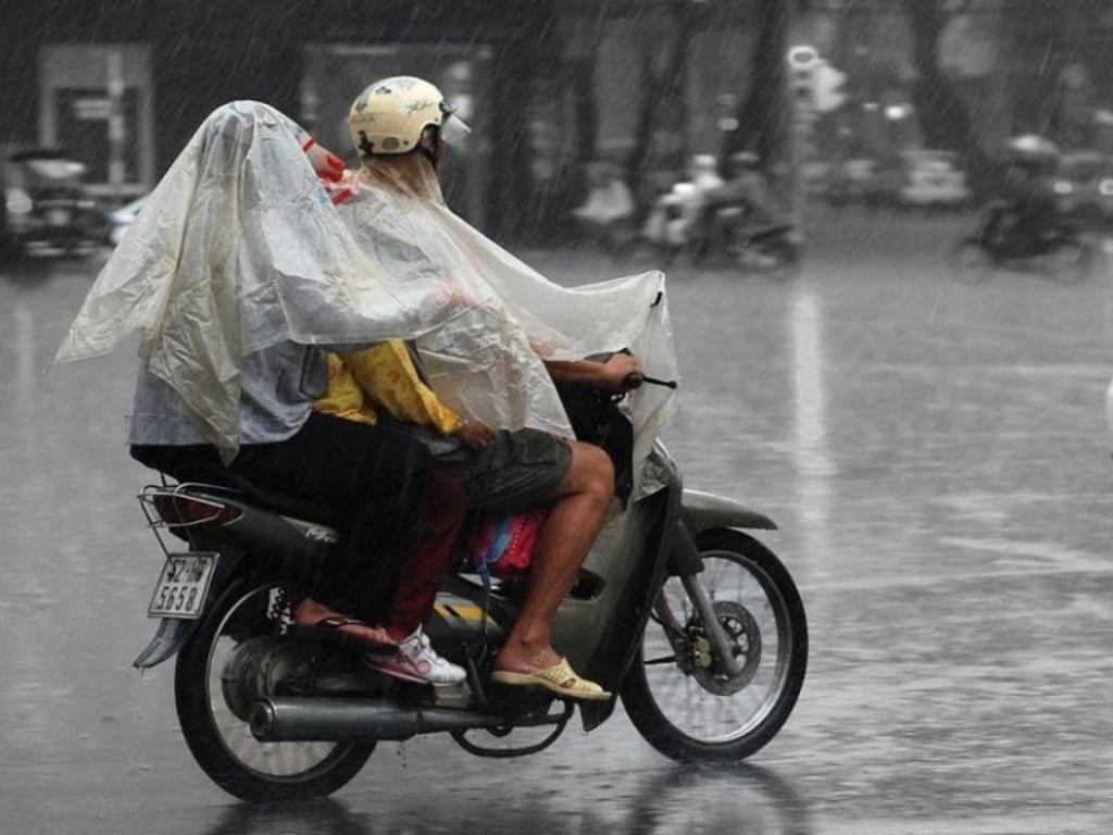 Dùng tay sờ và cảm nhận độ mềm mại khi bạn chọn mua