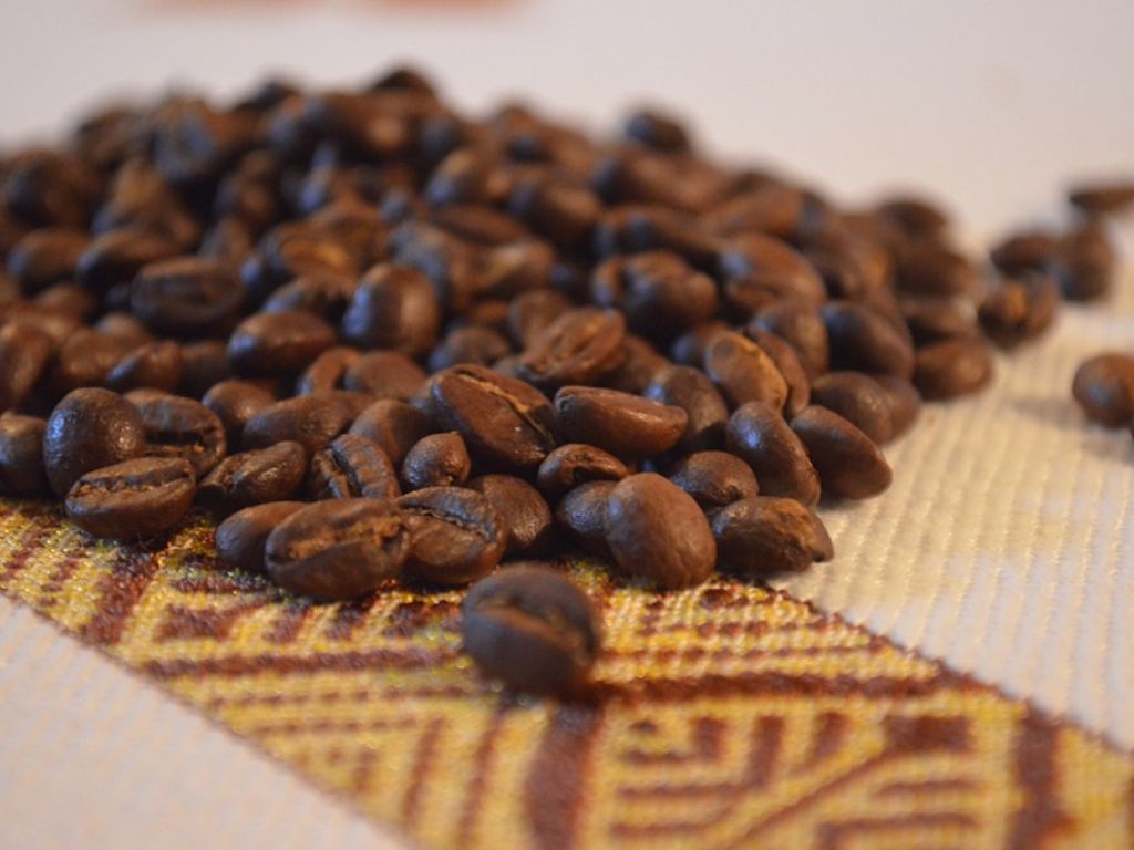 Bạn chỉ cần trộn một ít bã cà phê với đất trồng