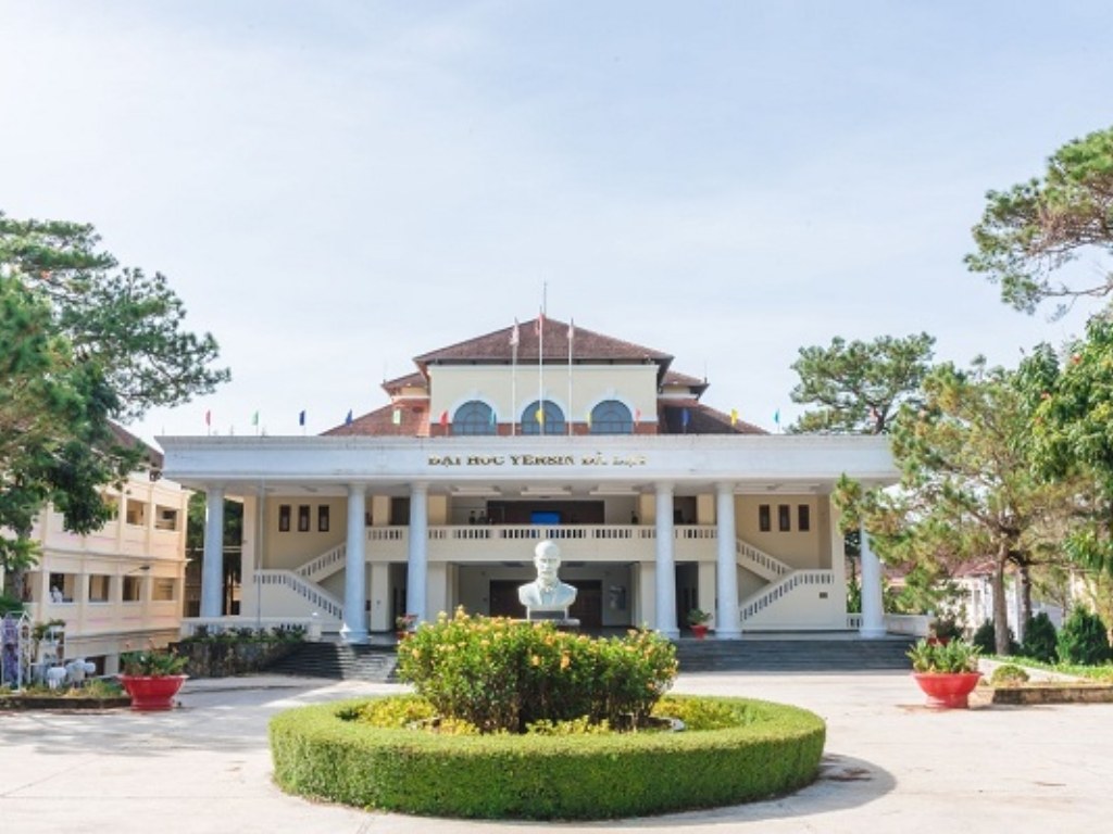 Mã trường Đại học Yersin Đà Lạt là DYD