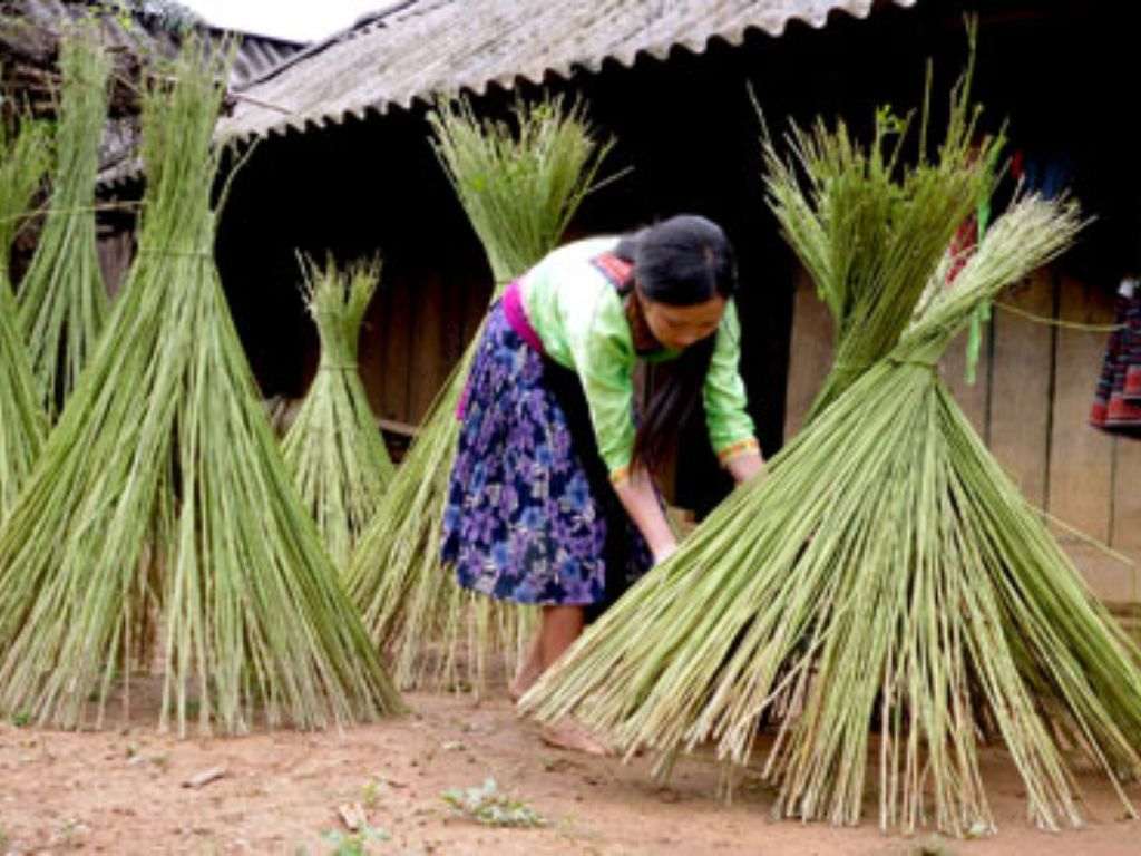 Loại vải được dệt từ sự pha trộn giữa sợi lanh tự nhiên