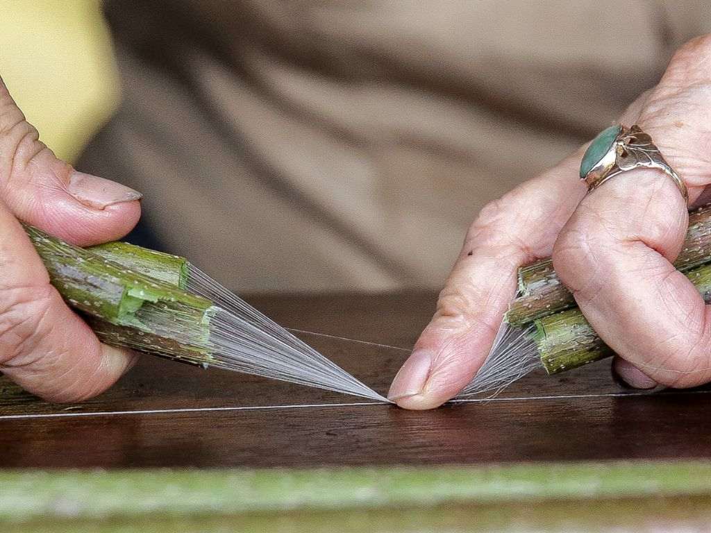 Vải tơ sen làm từ cuống sen tươi