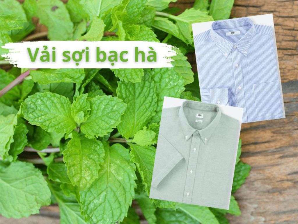 Vải sợi bạc hà thực sự sở hữu những ưu điểm như khán khuẩn