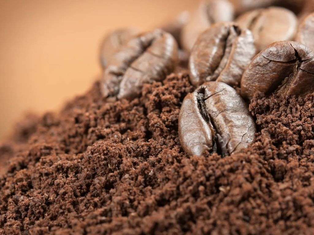 Bã cà phê còn là nguyên liệu cốt lõi cho ngành thời trang bền vững