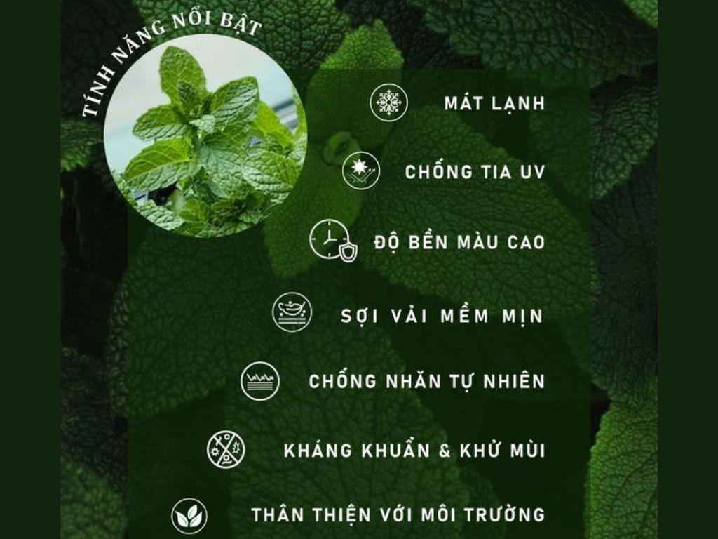 Vải từ lá bạc hà tươi với nhiều công dụng vượt trội