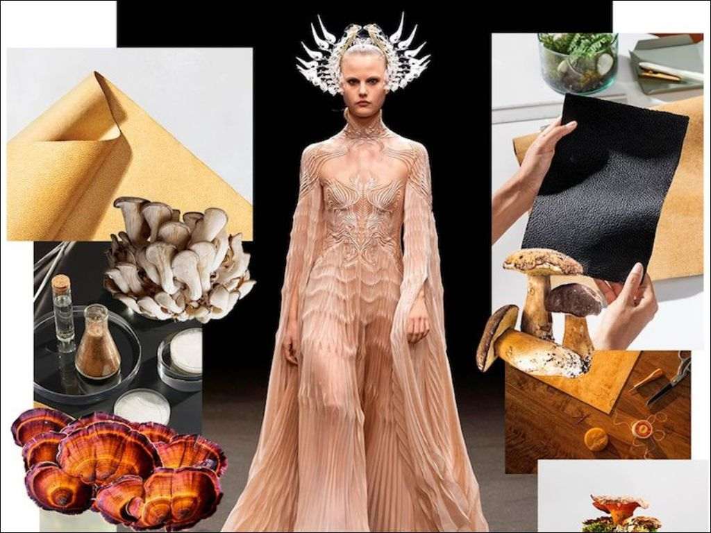 Xu hướng đang nhận được sự quan tâm mạnh mẽ từ cả người tiêu dùng