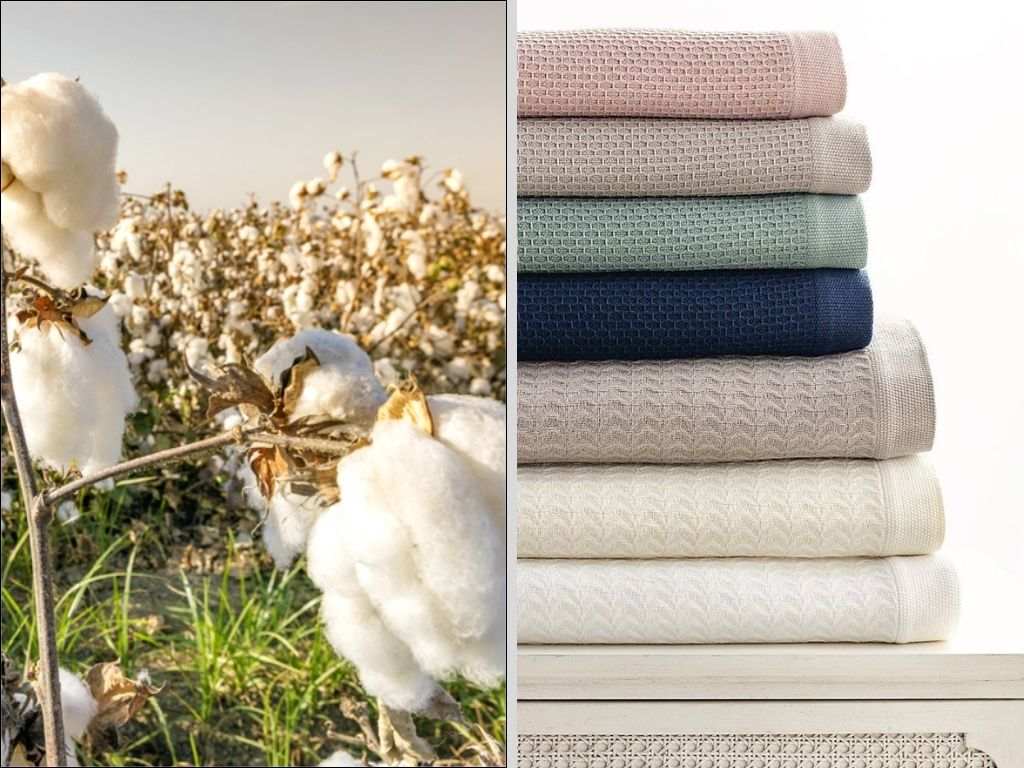 Các loại có sợi dài như Egyptian Cotton rất mềm mại