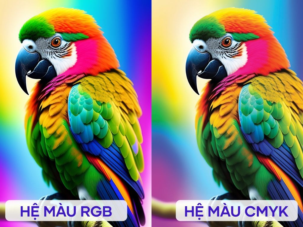 Bạn nên chọn file ảnh hệ màu CMYK khi in túi tote theo yêu cầu