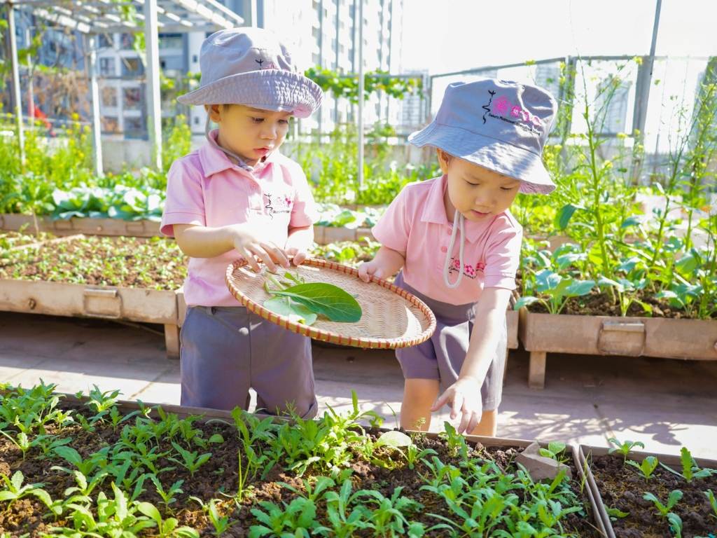 Mũ đồng phục học sinh kiểu tai bèo giúp che nắng tốt cho các hoạt động ngoài trời