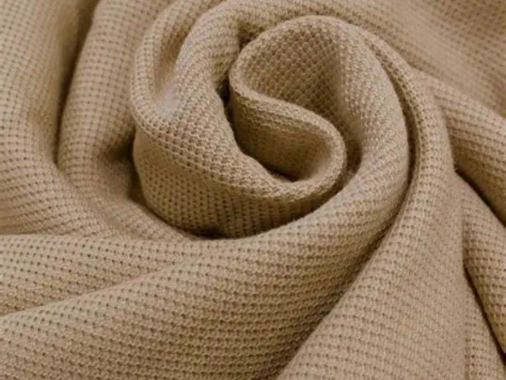 Chất liệu vải cá sấu (Lacoste) đứng form