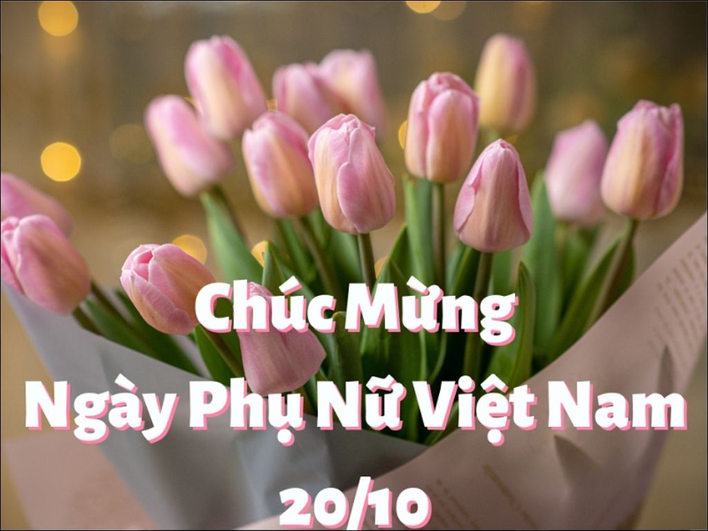 Bạn nên ưu tiên các font chữ đơn giản, hiện đại