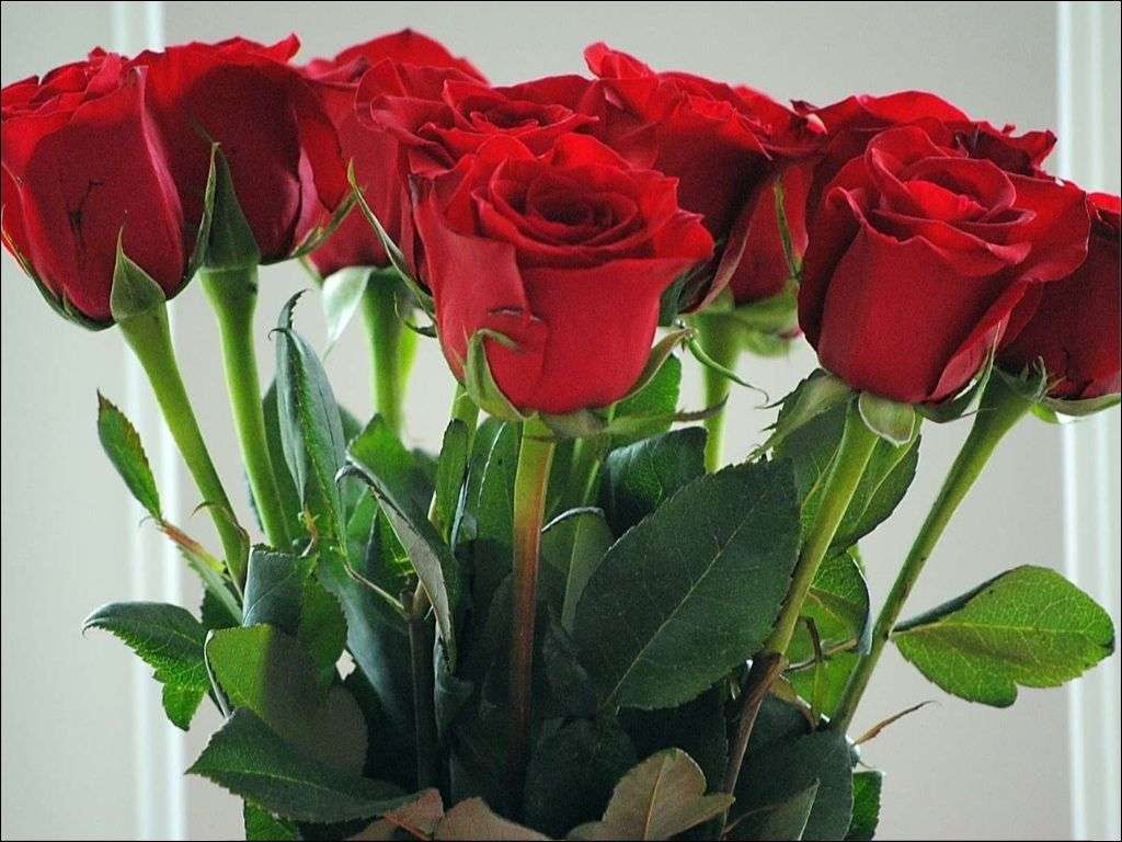 Bạn sử dụng những hình ảnh mang tính biểu tượng như hoa hồng