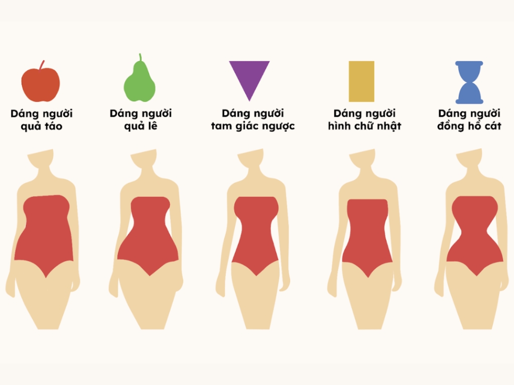 Các dáng người phổ biến