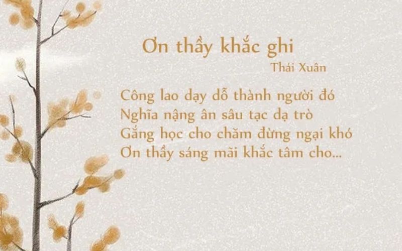 Bạn nên chọn câu chữ ngắn gọn
