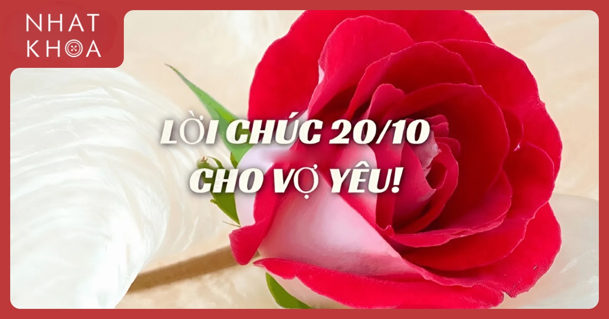 LỜI CHÚC 20 10 CHO NGƯỜI YÊU NGẮN GỌN TRUYỀN TẢI THÔNG ĐIỆP YÊU