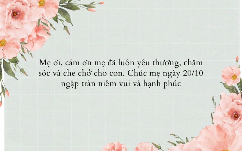 Lời chúc mẹ 20 10 đơn giản nhưng đầy chân thành