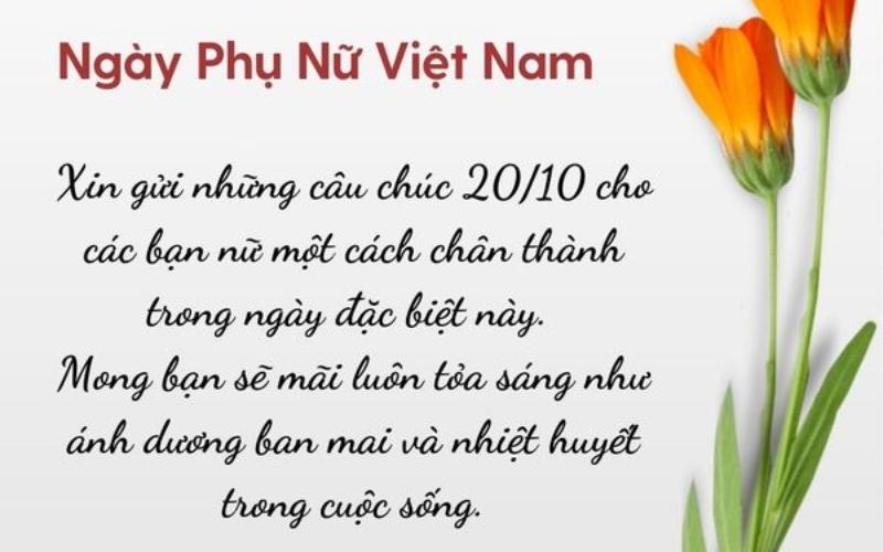 Lời chúc 20 10 ấm áp để gửi đến các thành viên nữ trong nhóm