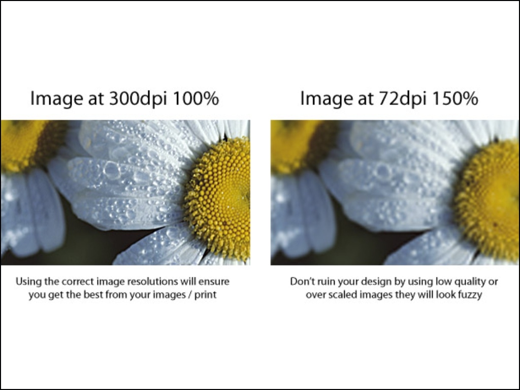 Higher resolution results in smoother and more detailed prints