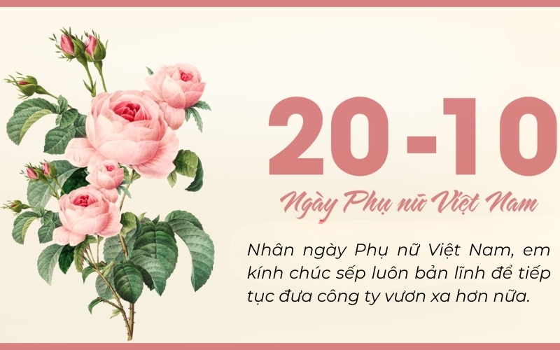 Lời chúc sếp 20 10 chuyên nghiệp