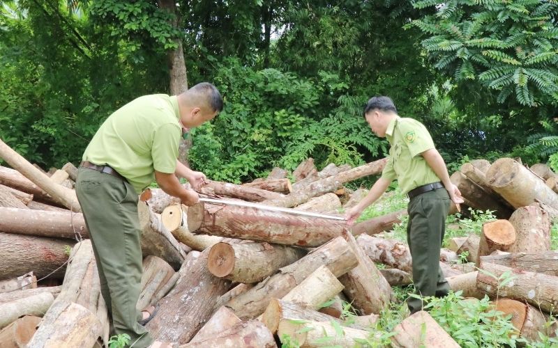 Chất vải phải đảm bảo sự khô thoáng cho người mặc