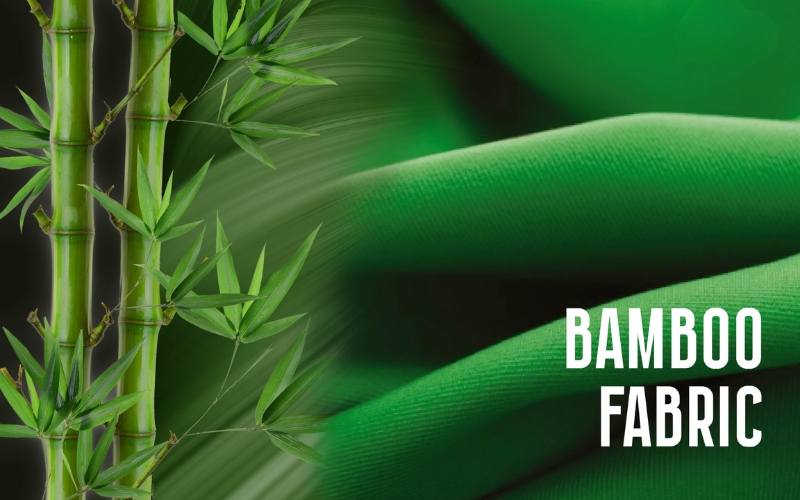 Bamboo là gì trong may mặc? Đó là loại vải dệt từ sợi cellulose chiết xuất từ cây tre