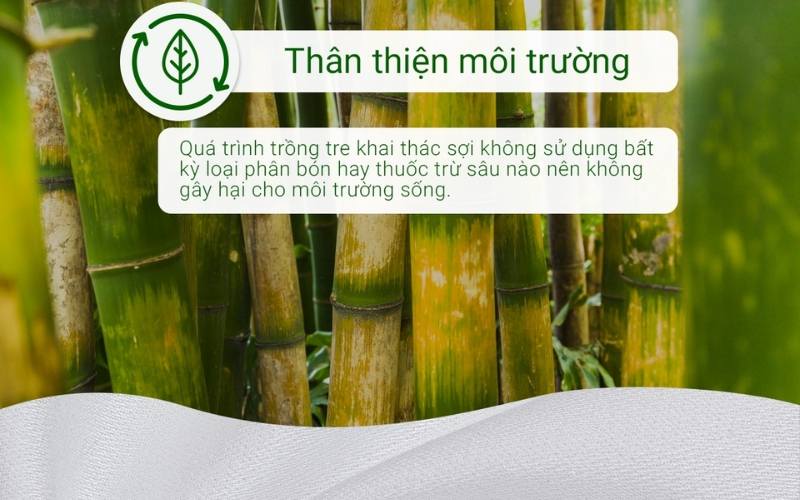 Chất liệu vải bamboo thân thiện với môi trường