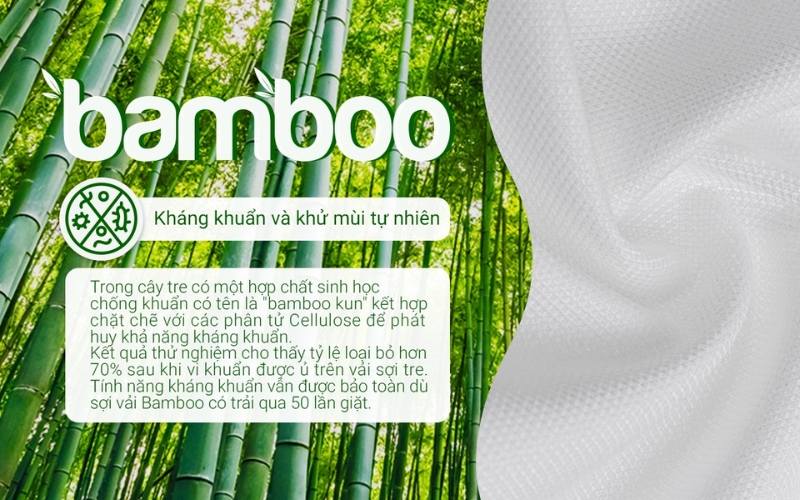Đặc điểm nổi bật của vải bamboo là gì? Câu trả lời là khả năng tự kháng khuẩn tự nhiên
