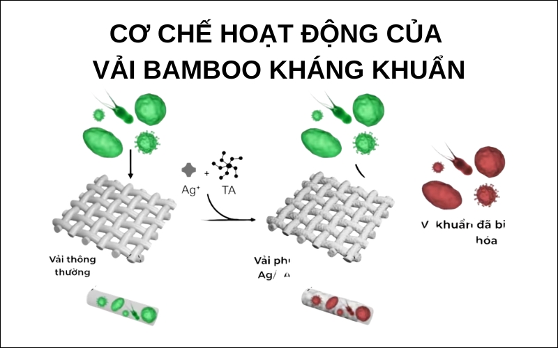 Cơ chế hoạt động của vải bamboo kháng khuẩn