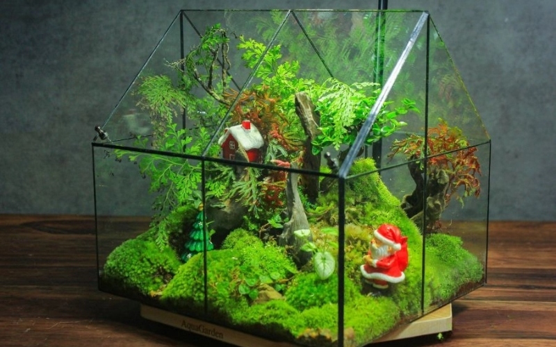 Chậu cây tiểu cảnh Terrarium là món quà tặng Giáng sinh độc đáo cho người yêu thiên nhiên